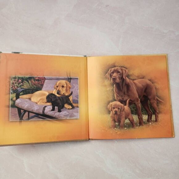 My dog changed my life kids children's hardback book puppies puppy - Picture 4 of 7